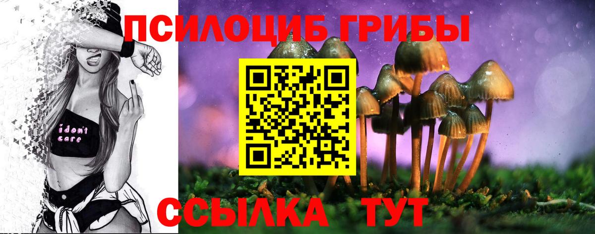 Иваново  Галлюциногенные грибы мухоморы  Вход с VPN 