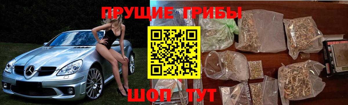 Псилоцибиновые грибы MAGIC MUSHROOMS Иваново